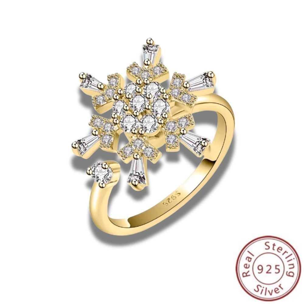 Zodiac Spin Ring i 925 silver