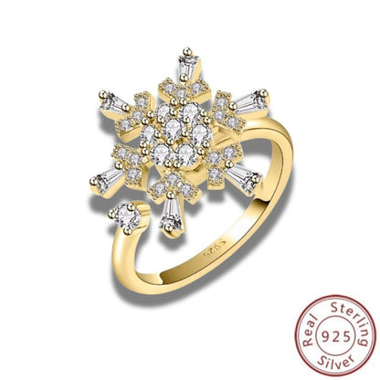 Zodiac Spin Ring i 925 silver