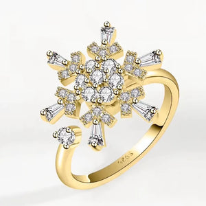 Zodiac Spin 925 Silver Ring