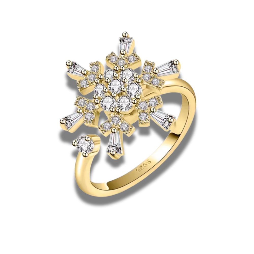 Zodiac Spin Ring i 925 silver