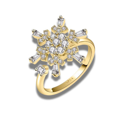 Zodiac Spin Ring i 925 silver